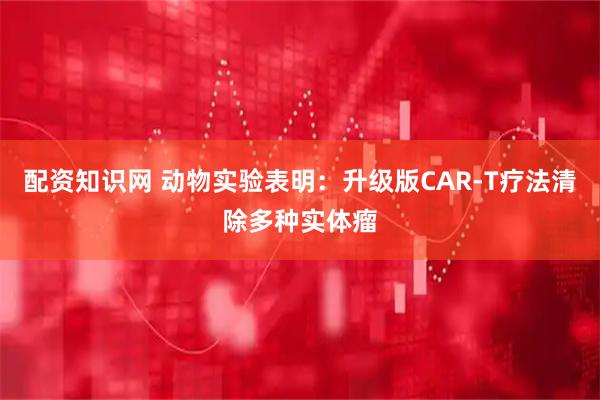 配资知识网 动物实验表明：升级版CAR-T疗法清除多种实体瘤